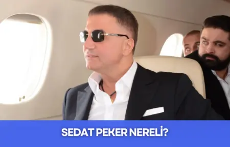 Sedat Peker Nereli - 2026 - Biyografi.DEV